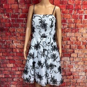 Masquerade Vintage‎ Y2K Tulle Dress Bouffant Dress